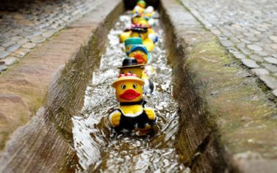 Getting your ducks in a row. Part 1.